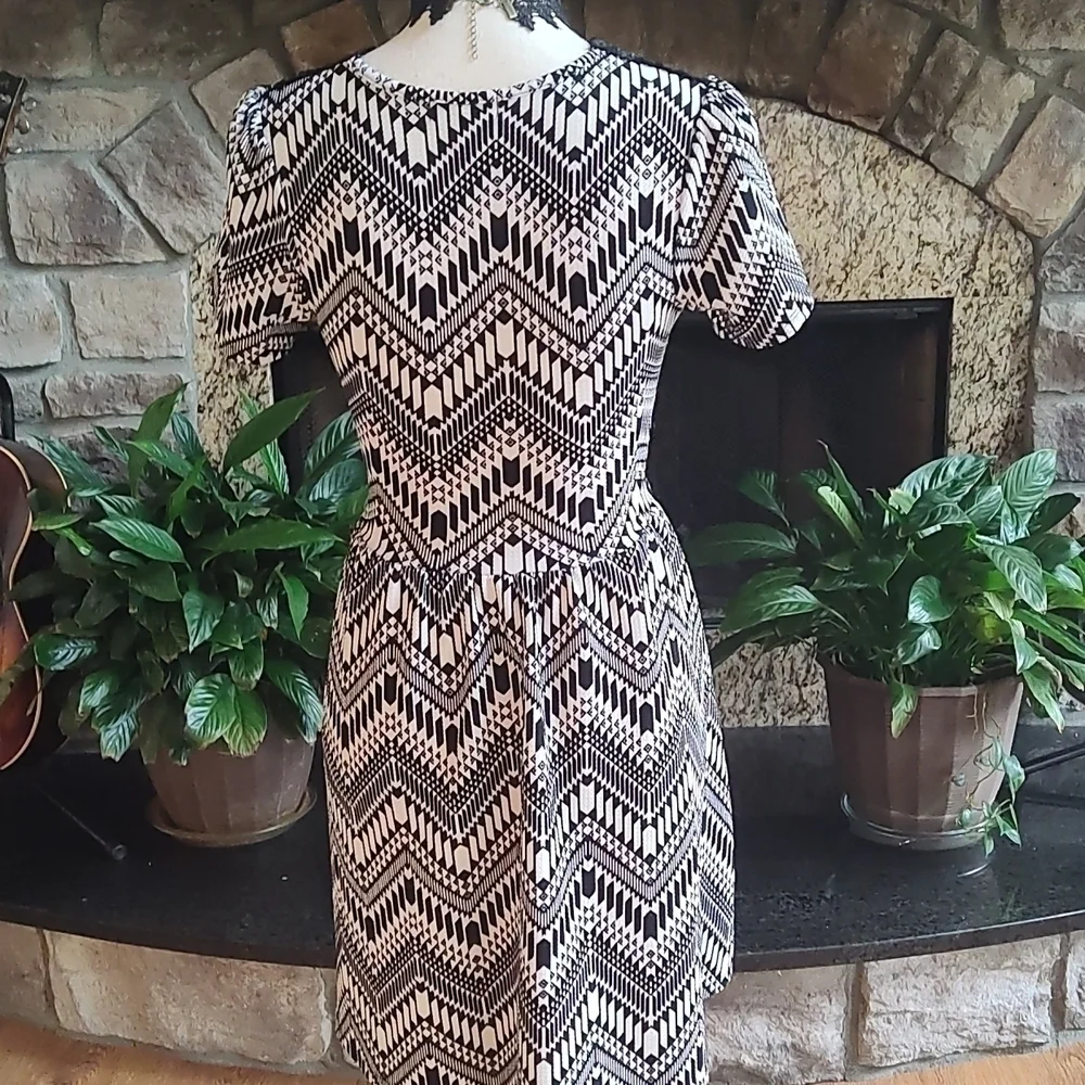 NWOT Black and White V Neck Flirty Fall Dress Size S - Picture 2 of 4